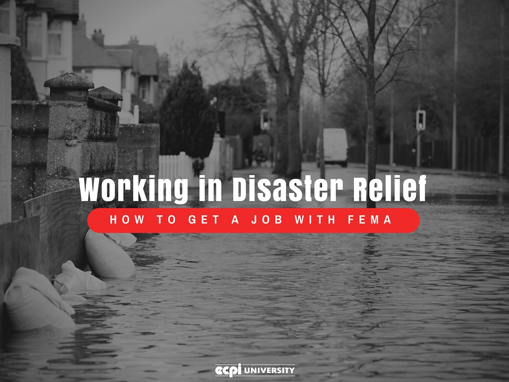Working in Disaster Relief How to Get a Job with FEMA